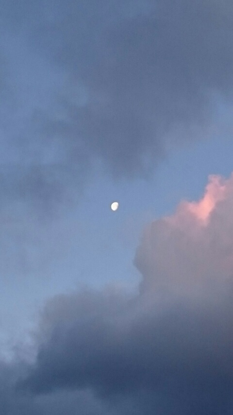d0149105_7393562.jpg