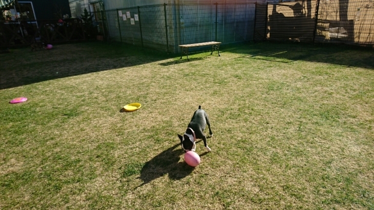 c0326807_17462029.jpg