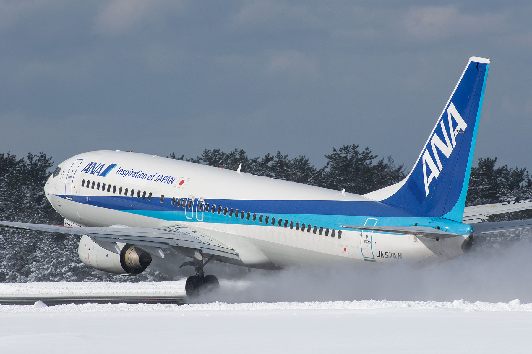 BOEING 737-800 / JA57AN : SKY LOUNGE GARDEN -transporter side-