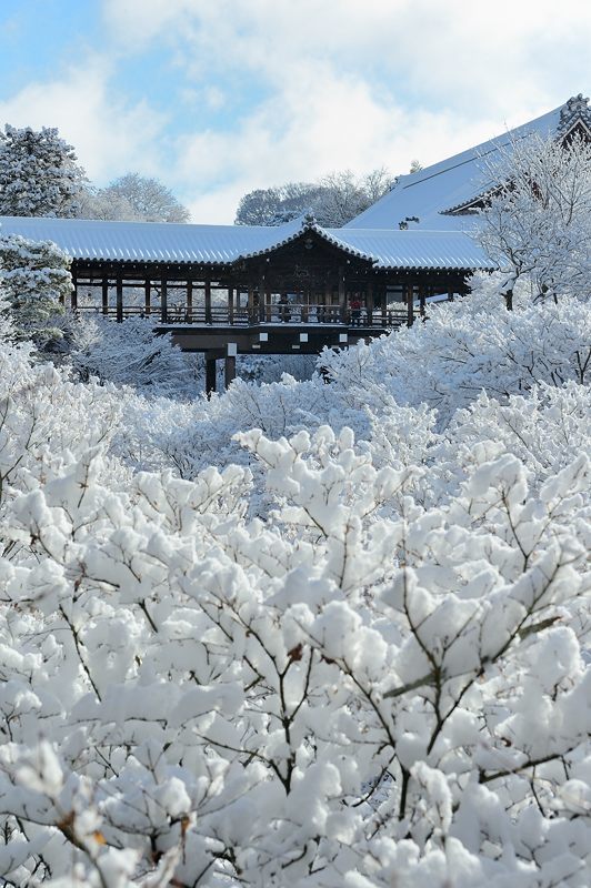 京の雪景色2017 東福寺・其の一_f0032011_21513803.jpg
