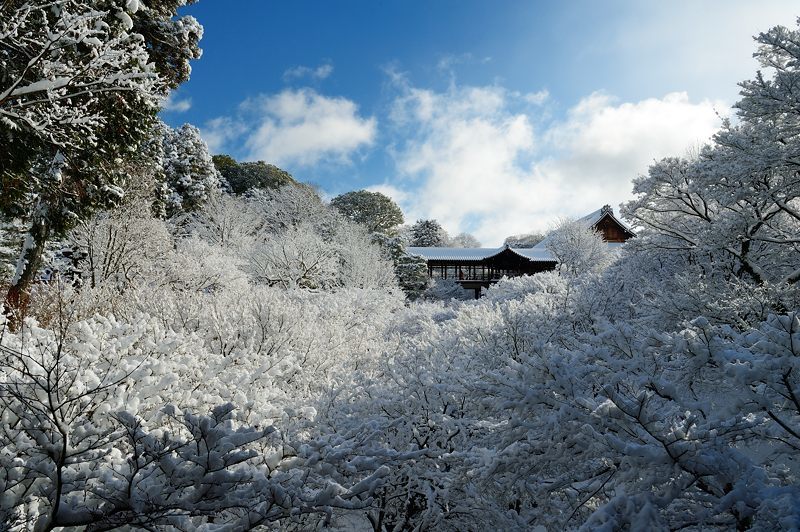 京の雪景色2017 東福寺・其の一_f0032011_21513874.jpg