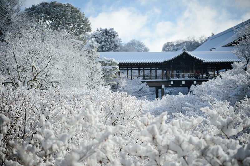 京の雪景色2017 東福寺・其の一_f0032011_21514174.jpg