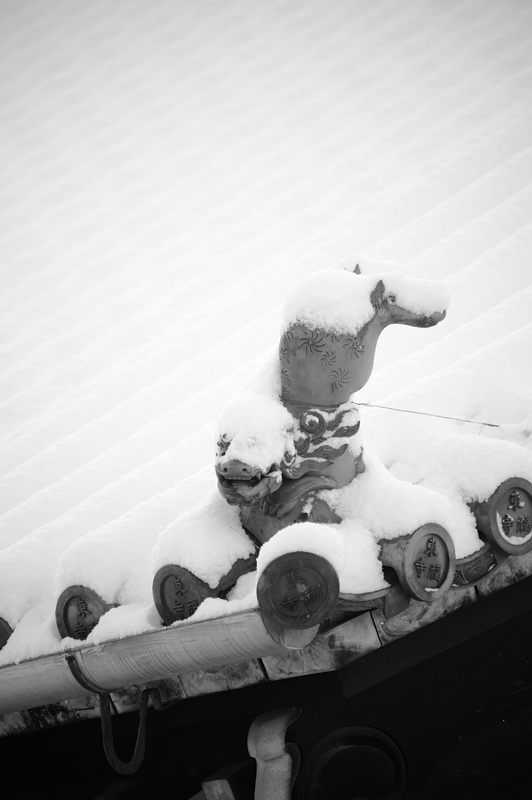京の雪景色2017 東福寺・其の一_f0032011_21514185.jpg
