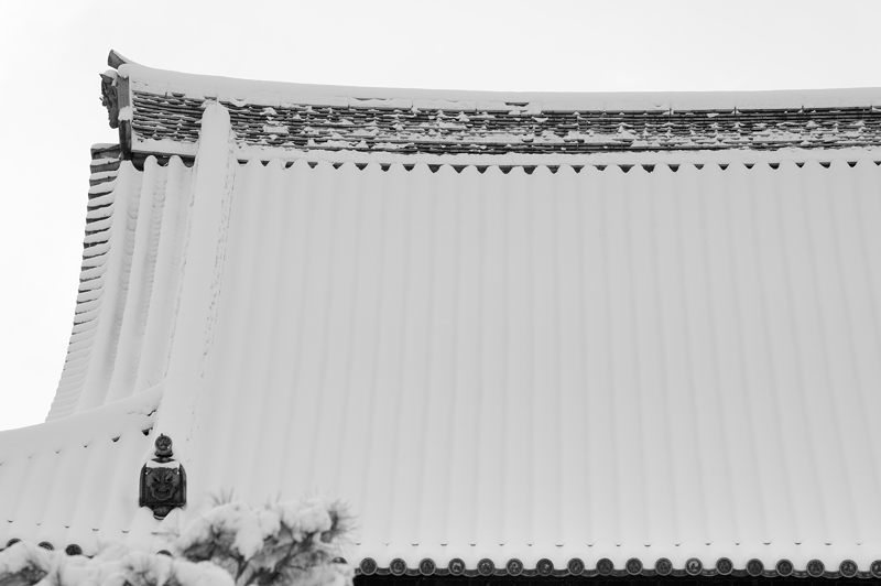 京の雪景色2017 東福寺・其の一_f0032011_22162041.jpg