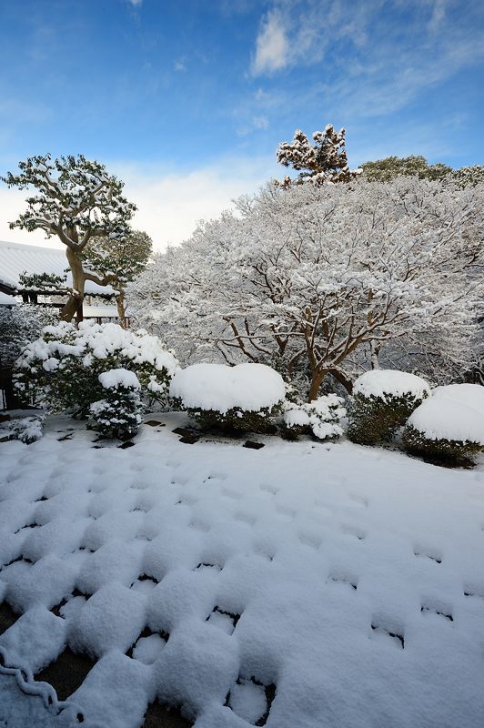 京の雪景色2017 東福寺・其の一_f0032011_22193331.jpg