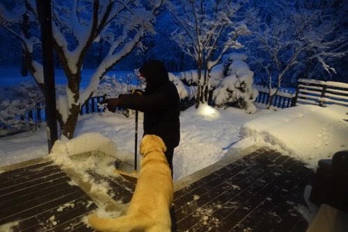 雪を楽しんでます_e0192217_20034214.jpg