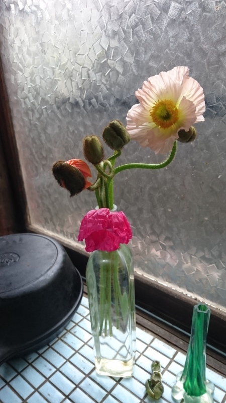 今日の、野菜で_a0125419_17184607.jpg