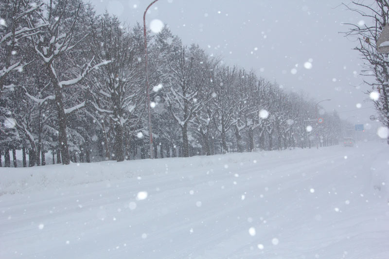 猛烈の雪の中　お助けマンであいの里へ…・①_e0001123_10465138.jpg