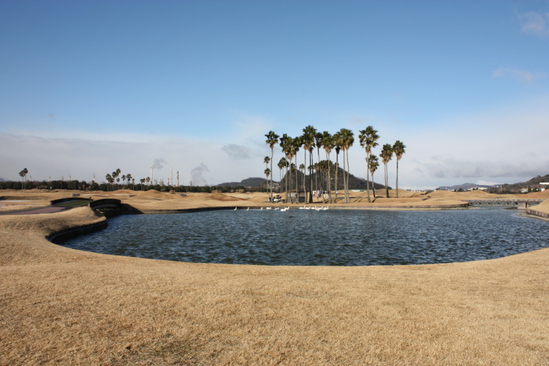 e0264823_23460383.jpg