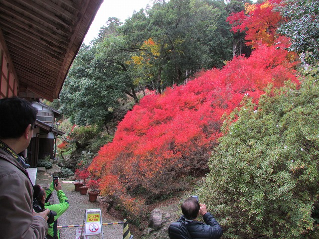 800キロ自動車の旅 但馬安国禅寺_e0321325_8124254.jpg