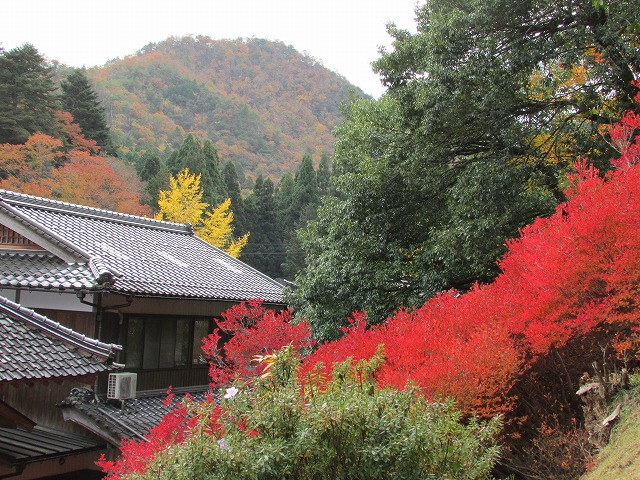 800キロ自動車の旅 但馬安国禅寺_e0321325_8125190.jpg
