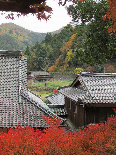800キロ自動車の旅 但馬安国禅寺_e0321325_813061.jpg