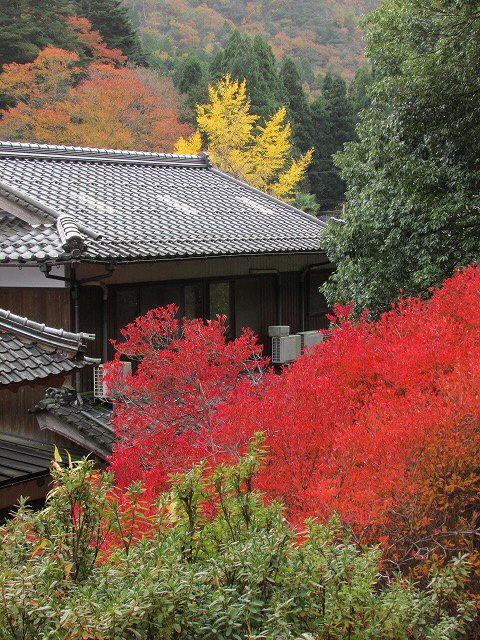 800キロ自動車の旅 但馬安国禅寺_e0321325_813233.jpg