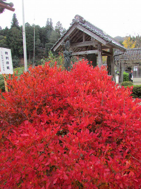 800キロ自動車の旅 但馬安国禅寺_e0321325_8133458.jpg