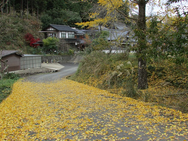 800キロ自動車の旅 但馬安国禅寺_e0321325_851693.jpg