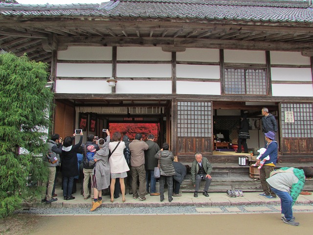 800キロ自動車の旅 但馬安国禅寺_e0321325_862594.jpg