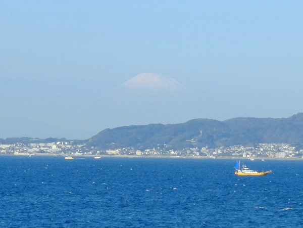 「千葉・富津 東京湾フェリーと志駒もみじロード」_a0000029_21253726.jpg