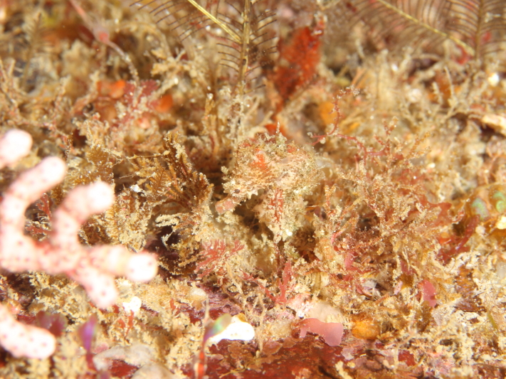 c0034029_520469.jpg