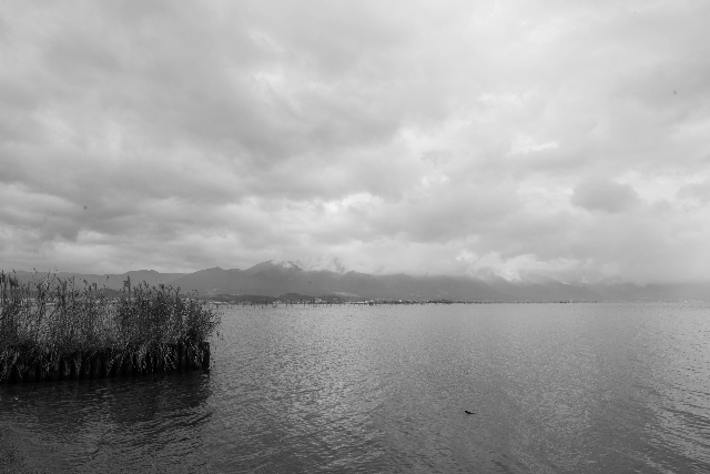 f0158043_21353817.jpg