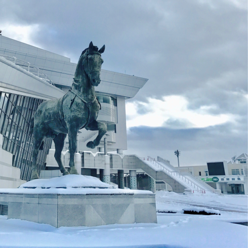 馬好きなら競馬もデビューしてみる(╹◡╹)?_b0199244_16481788.jpg