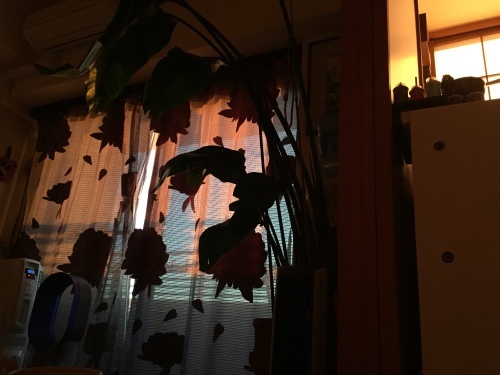 b0307951_21585500.jpg