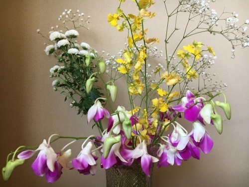 花で明るく元気に_e0326953_14435229.jpg