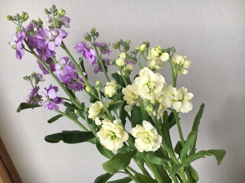 花で明るく元気に_e0326953_14441280.jpg