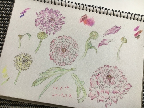 花で明るく元気に_e0326953_14451924.jpg