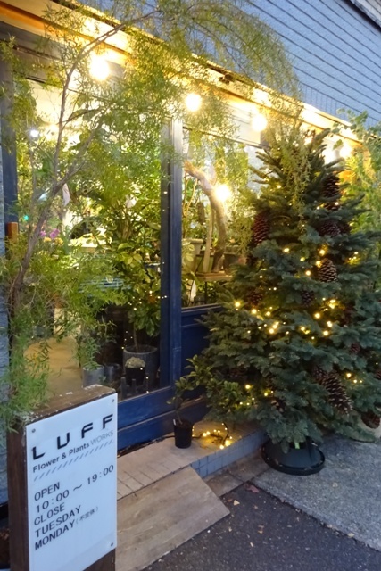 f0201054_21324541.jpg