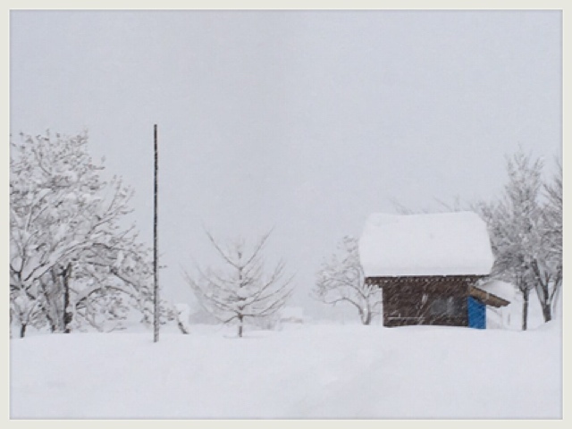 大雪、また大雪_a0346455_02044843.jpg