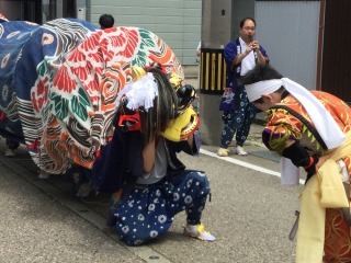 2016年　おやべの獅子舞祭_c0208355_12372194.jpg