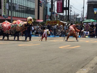 2016年　おやべの獅子舞祭_c0208355_12383240.jpg