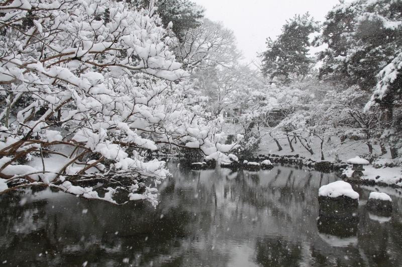 雪・京都円山公園_a0355356_12162789.jpg