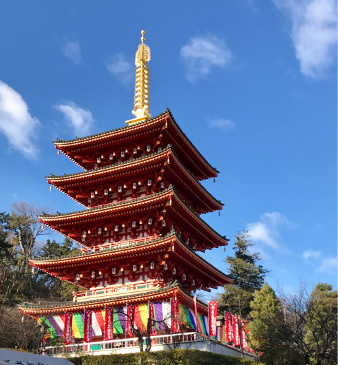 高幡不動　ござれ市　2017年1月_e0062977_06593325.jpg