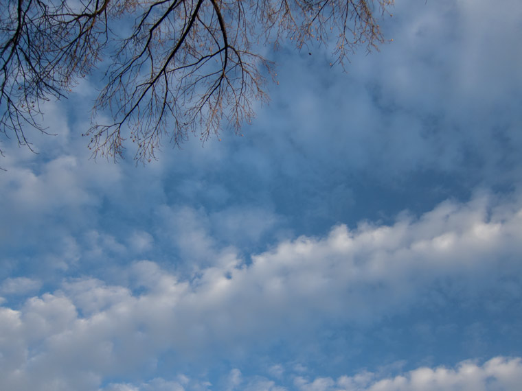 お空に雲がプカプカ_e0065086_17193791.jpg