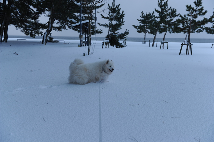 豪雪キャンプ♪　2_a0049296_194948.jpg