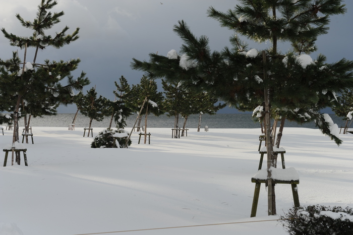 豪雪キャンプ♪　2_a0049296_1985928.jpg