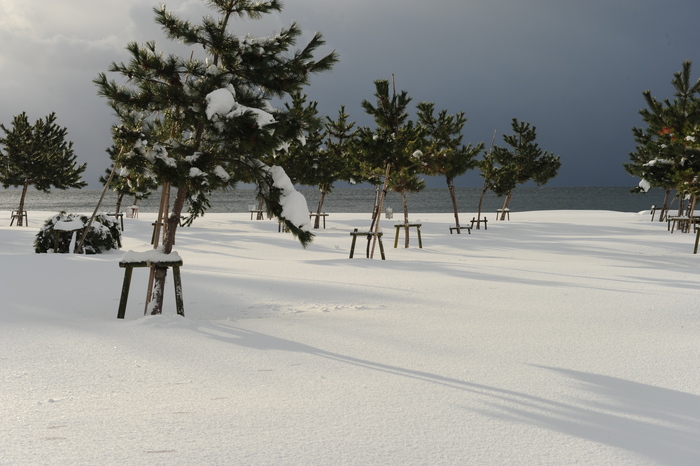 豪雪キャンプ♪　2_a0049296_1991518.jpg