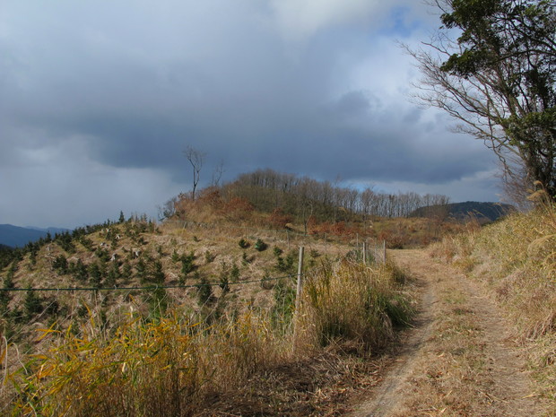 国東半島里山徘徊　②釜割　2017.1.14（土）_a0166196_10304546.jpg