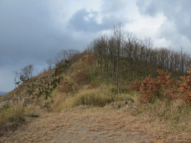a0166196_10312473.jpg
