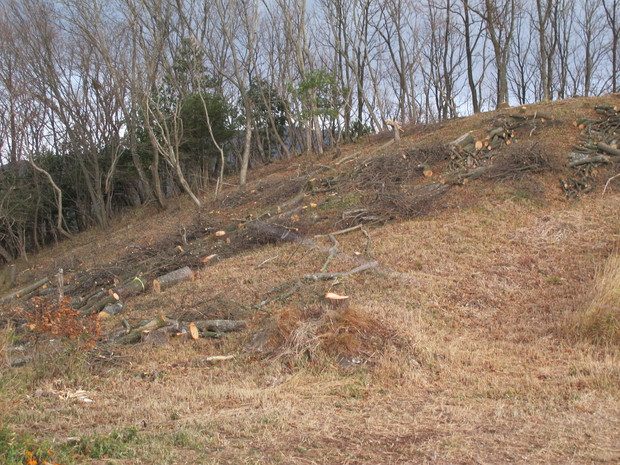 国東半島里山徘徊　②釜割　2017.1.14（土）_a0166196_10334164.jpg