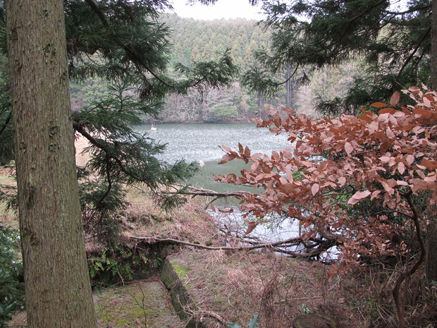 a0166196_11421880.jpg