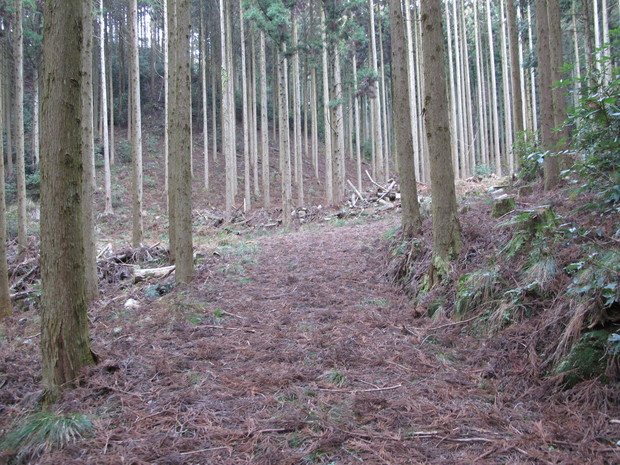 a0166196_11425795.jpg