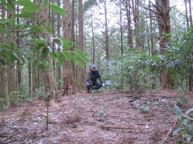 国東半島里山徘徊　③米山　2017.1.14（土）_a0166196_11432654.jpg