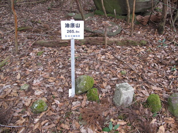 a0166196_17414954.jpg