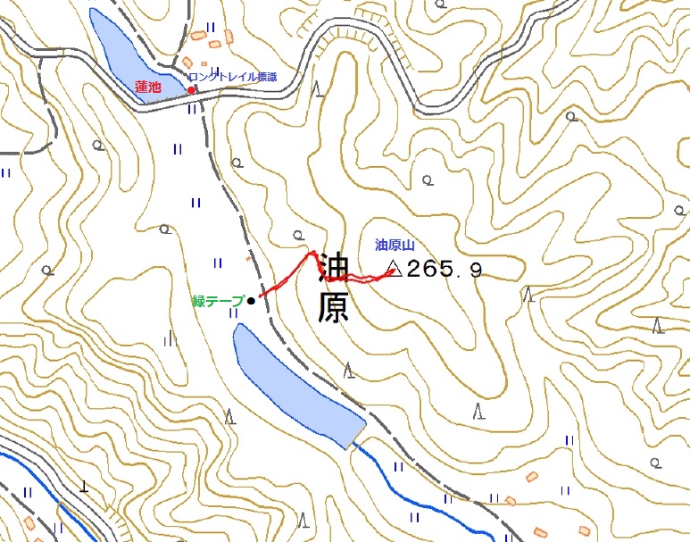 a0166196_17432424.jpg