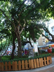 e0109296_15172867.jpg