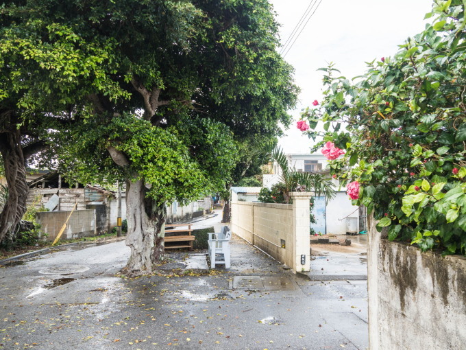 f0276498_21305111.jpg