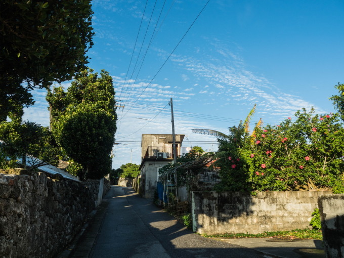 f0276498_21323555.jpg