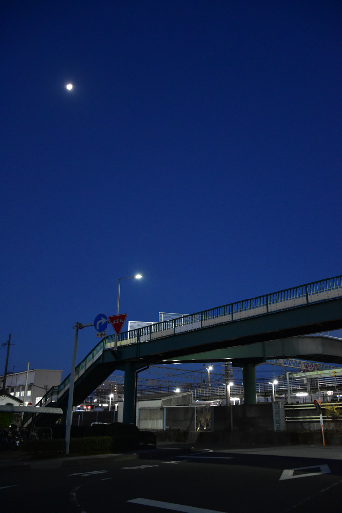 c0049299_22553446.jpg